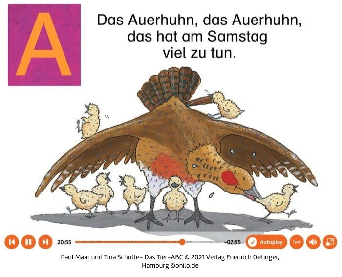 Artikel Bild